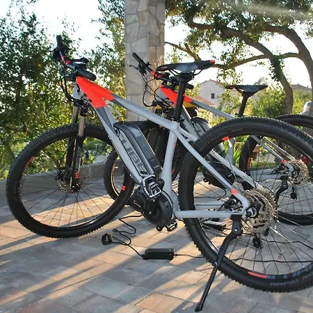 La Vagabonda Orašac